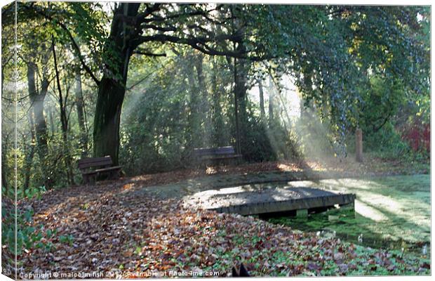 Woodland Sun rays. Canvas Print by malcolm fish