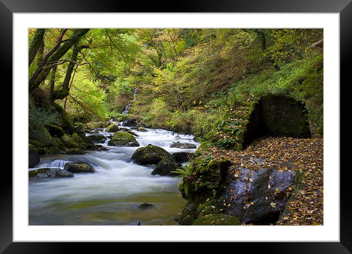 Ladycombe Leet Framed Mounted Print by Dave Wilkinson North Devon Ph