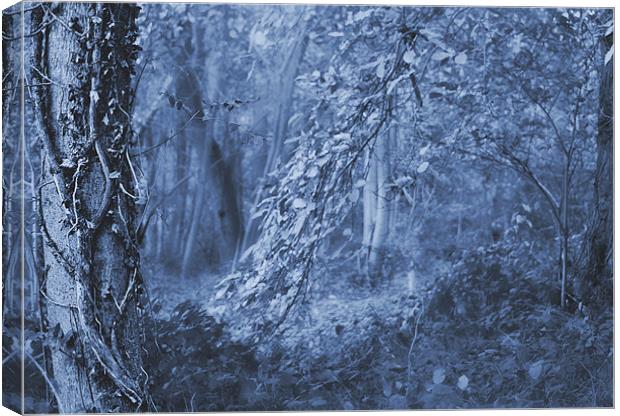 Mystic Woods Canvas Print by Dawn Cox
