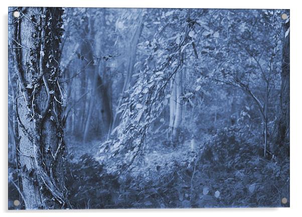 Mystic Woods Acrylic by Dawn Cox
