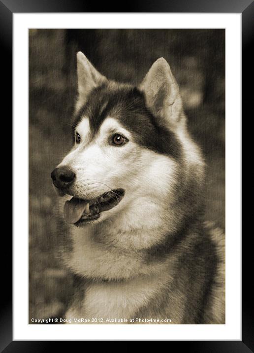 Dog Framed Mounted Print by Doug McRae