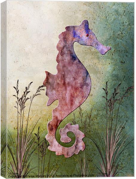 Seashorse Canvas Print by Elaine Manley