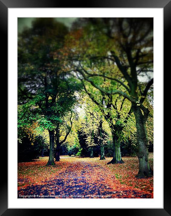 Autumn Vibe Framed Mounted Print by Rachael Hood