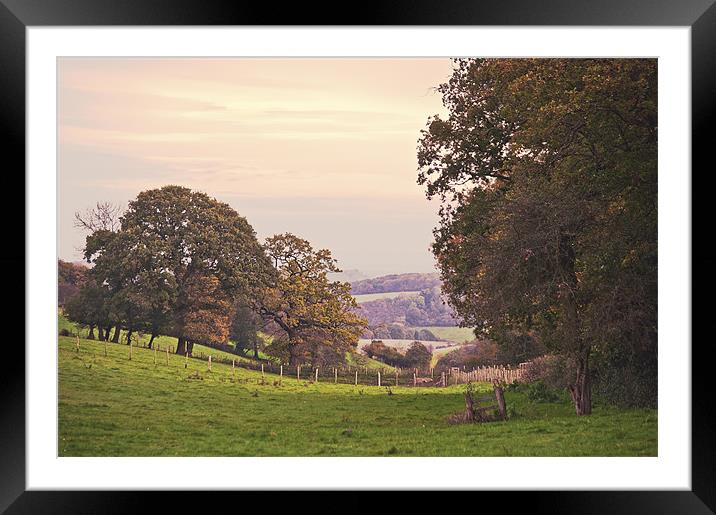 In the Far Distance Framed Mounted Print by Dawn Cox