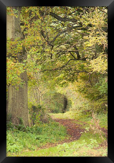 What Lies Ahead Framed Print by Dawn Cox