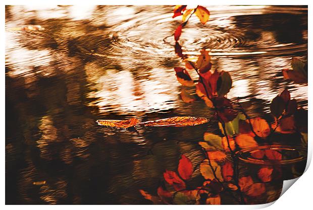 Autumn Reflection Print by Dawn Cox