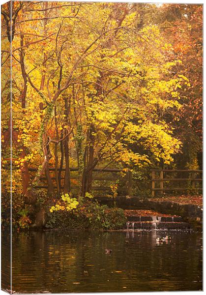 Autumn on the Lakes Canvas Print by Dawn Cox