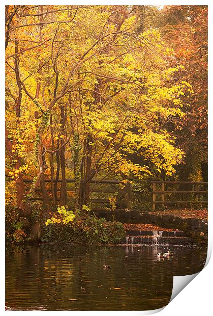 Autumn on the Lakes Print by Dawn Cox