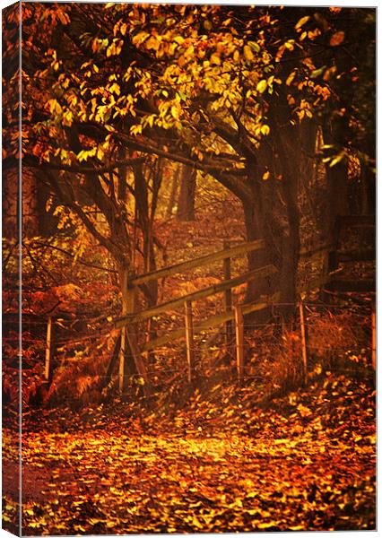 Golden Autumn Leaves Canvas Print by Dawn Cox