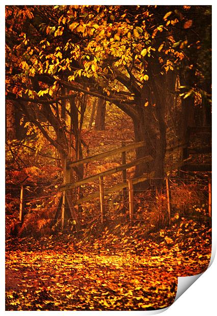 Golden Autumn Leaves Print by Dawn Cox