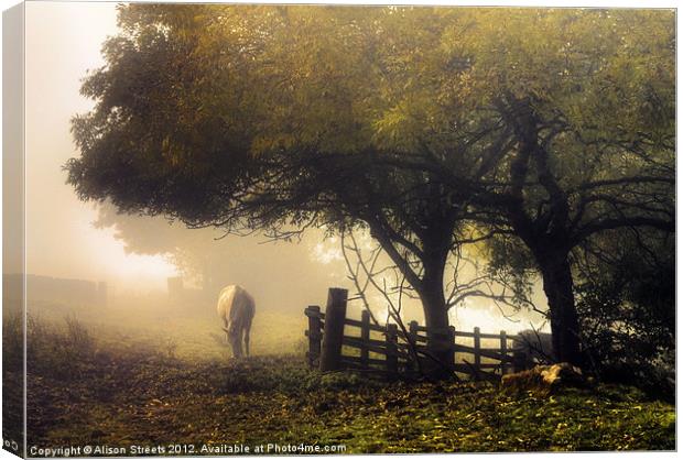 Misty Morning Canvas Print by Alison Streets