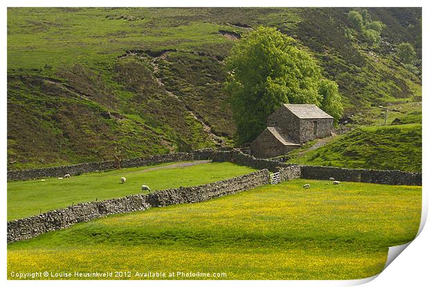 Stone barn in Swaledale Print by Louise Heusinkveld