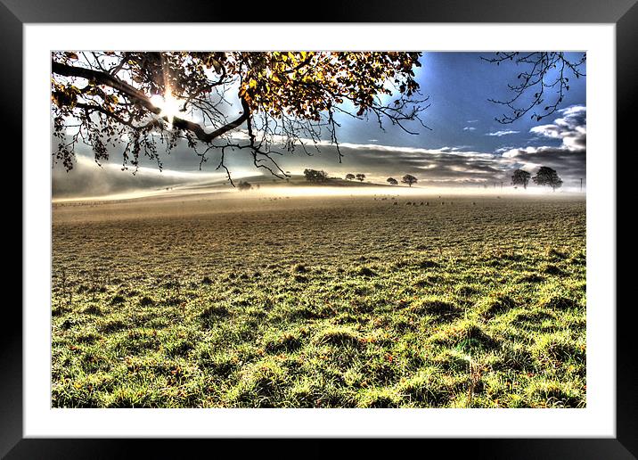 Eden Valley Morning Mist Framed Mounted Print by Gavin Wilson