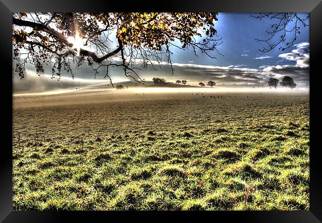 Eden Valley Morning Mist Framed Print by Gavin Wilson