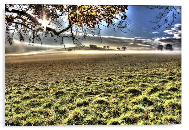 Eden Valley Morning Mist Acrylic by Gavin Wilson