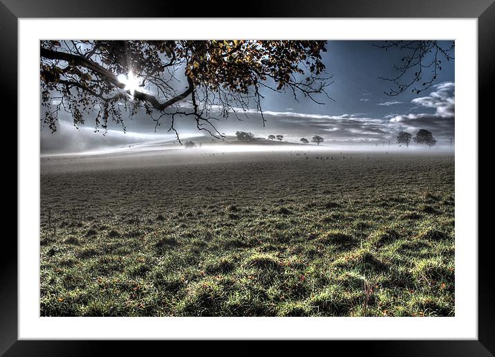 Eden Valley Mist Cumbria Framed Mounted Print by Gavin Wilson