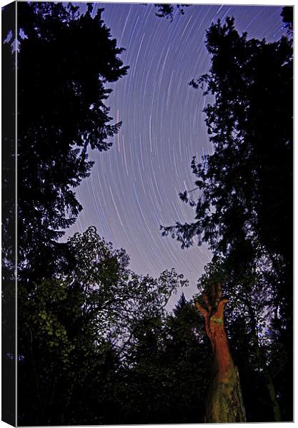 Reach For the Stars Canvas Print by Ben Welsh