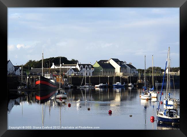Irvine Harbourside Boats & Buoys Framed Print by DEE- Diana Cosford