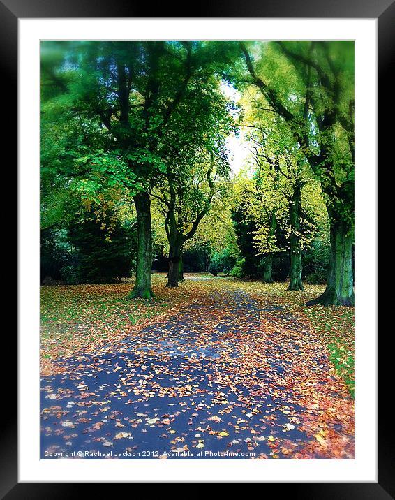 Autumn Bliss Framed Mounted Print by Rachael Hood