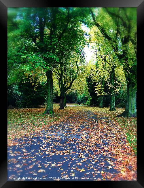 Autumn Bliss Framed Print by Rachael Hood