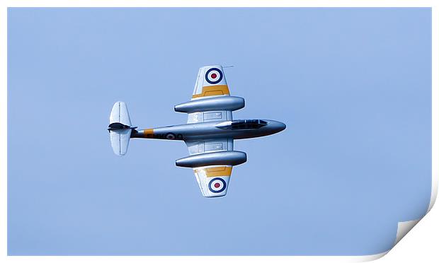 Gloster Meteor Print by Paul Madden