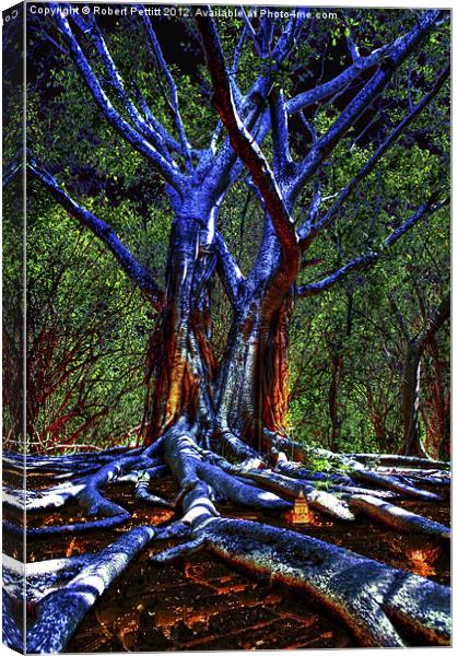 Blue Tree Canvas Print by Robert Pettitt