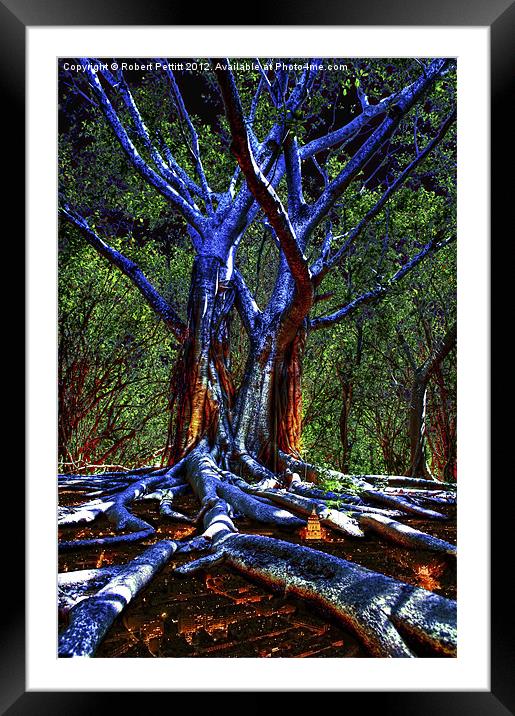 Blue Tree Framed Mounted Print by Robert Pettitt