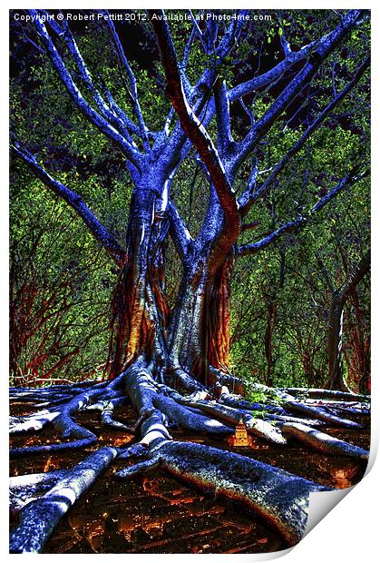 Blue Tree Print by Robert Pettitt
