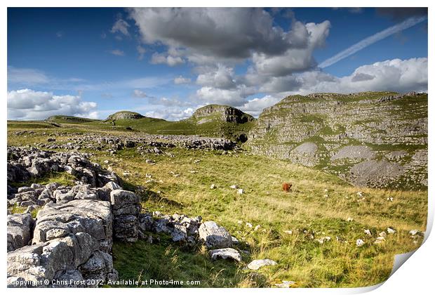All Alone at Malham Print by Chris Frost