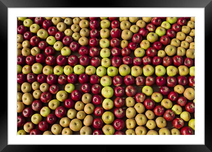 Union Jack of Apples Framed Mounted Print by Paul Macro