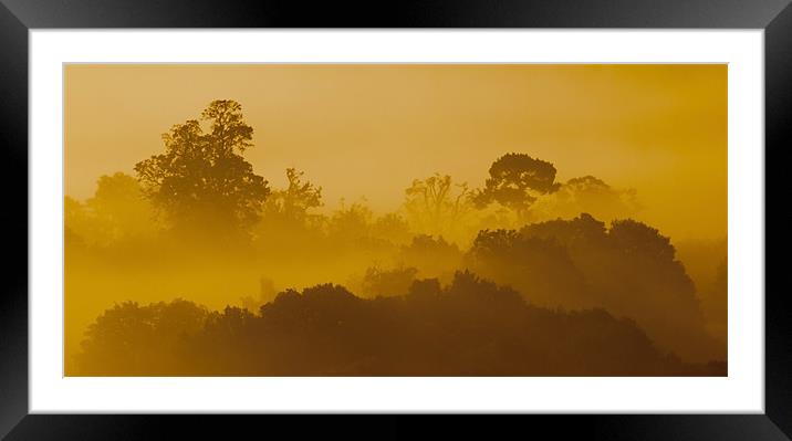 Mist At Box Hill Framed Mounted Print by Clive Eariss