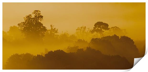 Mist At Box Hill Print by Clive Eariss