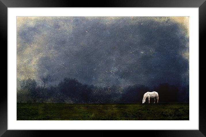 Moonlight Shadow Framed Mounted Print by Dawn Cox