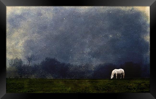 Moonlight Shadow Framed Print by Dawn Cox