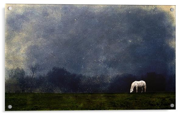 Moonlight Shadow Acrylic by Dawn Cox