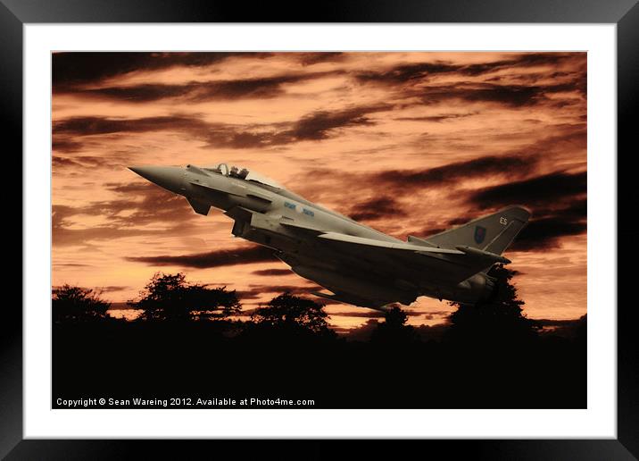 Evening sortie Framed Mounted Print by Sean Wareing