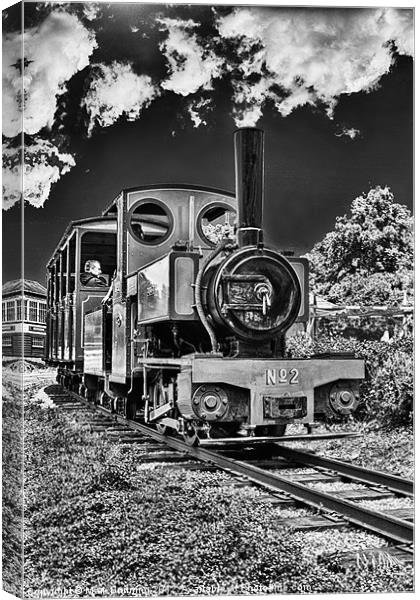 Bressingham train line Canvas Print by Mark Bunning
