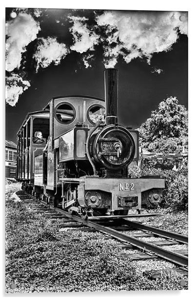 Bressingham train line Acrylic by Mark Bunning