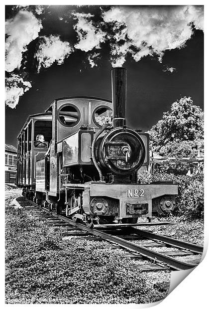 Bressingham train line Print by Mark Bunning
