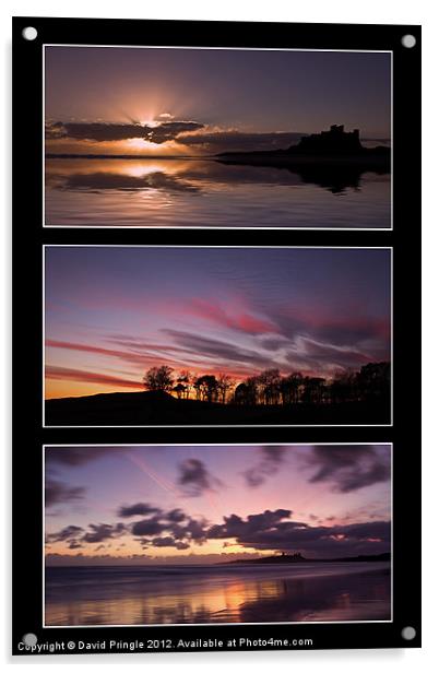 Northumbrian Sun II Acrylic by David Pringle