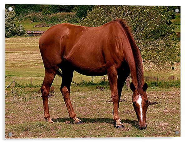 Horse Scene in Kent Acrylic by Reg Dobson