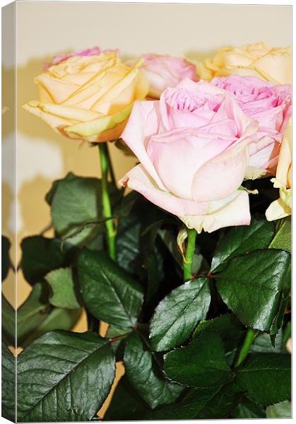 fresh cut banch roses pink yellow Canvas Print by Nataliya Lazaryeva