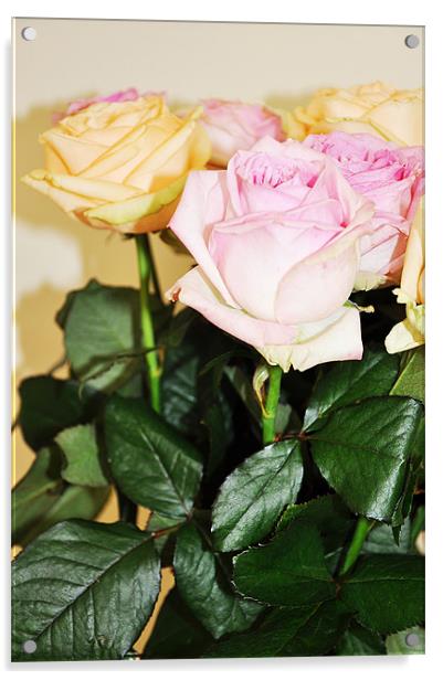 fresh cut banch roses pink yellow Acrylic by Nataliya Lazaryeva
