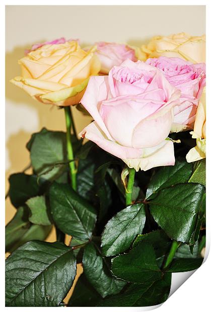 fresh cut banch roses pink yellow Print by Nataliya Lazaryeva