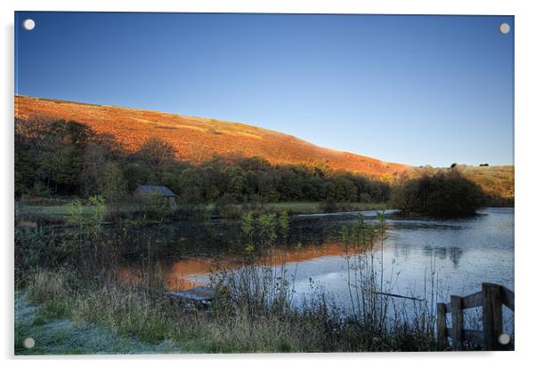 Autumn Pond 3 Acrylic by Steve Purnell