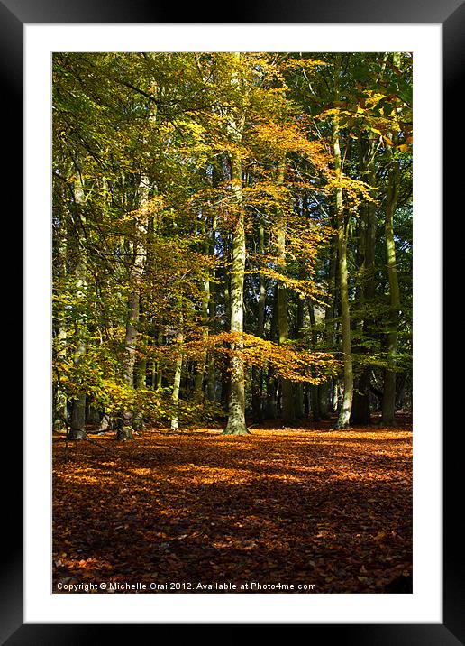 The Golden Tree Framed Mounted Print by Michelle Orai