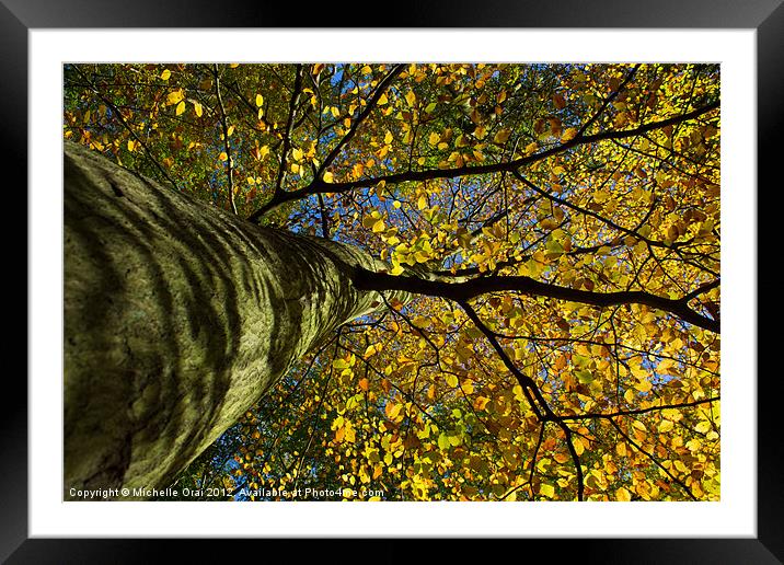 Under the golden tree Framed Mounted Print by Michelle Orai