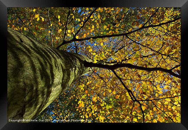 Under the golden tree Framed Print by Michelle Orai