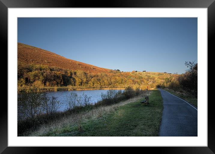 Autumn Pond 4 Framed Mounted Print by Steve Purnell