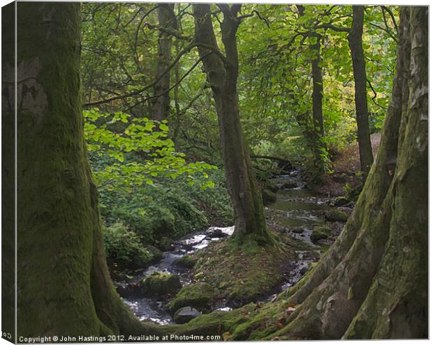Tranquil Stream in Orry Woods Canvas Print by John Hastings